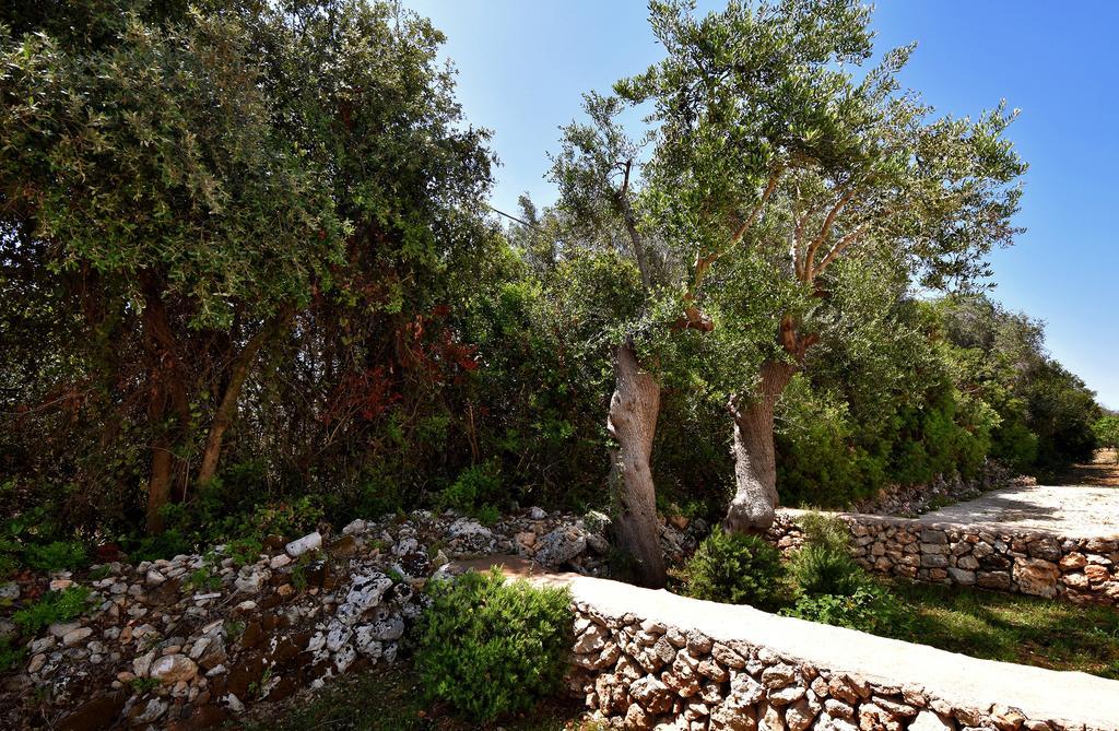 Masseria Pitanni Gallipoli Buitenkant foto
